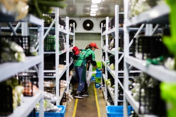 叮咚买菜在盐城开仓运营，加速布局下沉市场