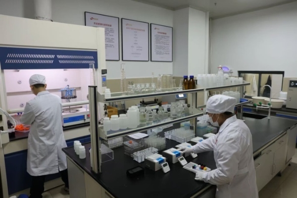 真实“胖改”成效几何？关键数据给出答案