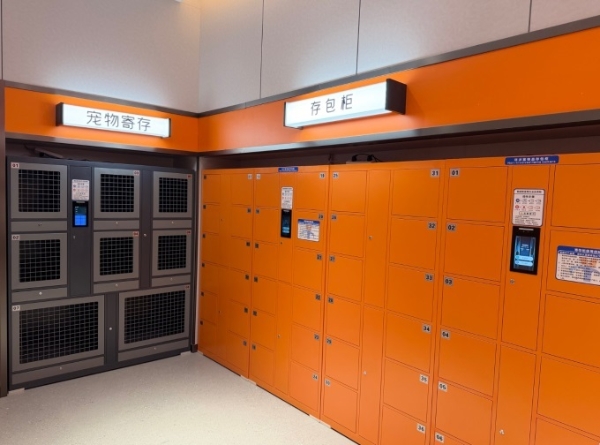 山东超市界崛起一匹黑马：喜加超市的烟火气与新玩法