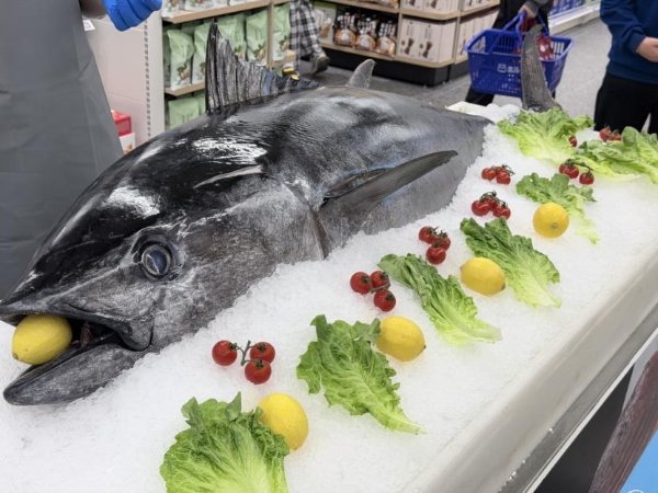 盒马鲜生宁波龙湖海曙天街店与北仑银泰城店开业