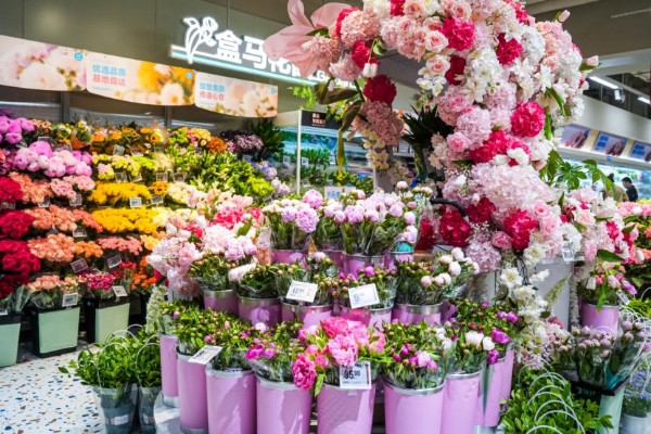 盒马鲜生宁波龙湖海曙天街店与北仑银泰城店开业