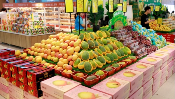 专访“水果皇后”陈雪梅：中原水果供应链龙头怎么炼成的？