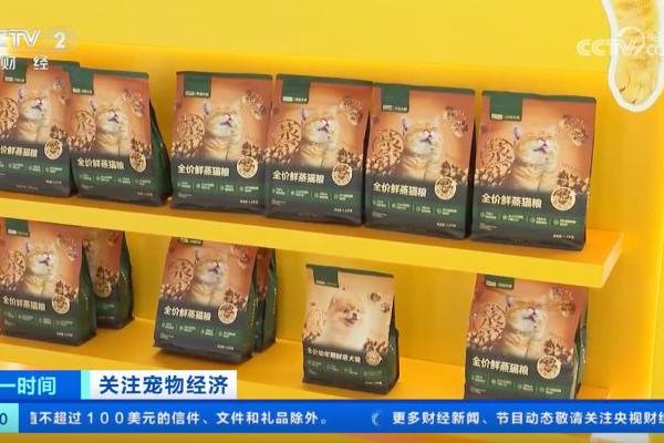 宠物冲进行业前三！网易严选十周年官宣品牌焕新，加大投入宠物业务 